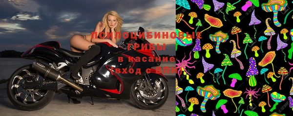 крисы Новый Уренгой